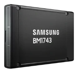 Samsung BM1743 122.88TB MZWMOA2THCPA-00AW7